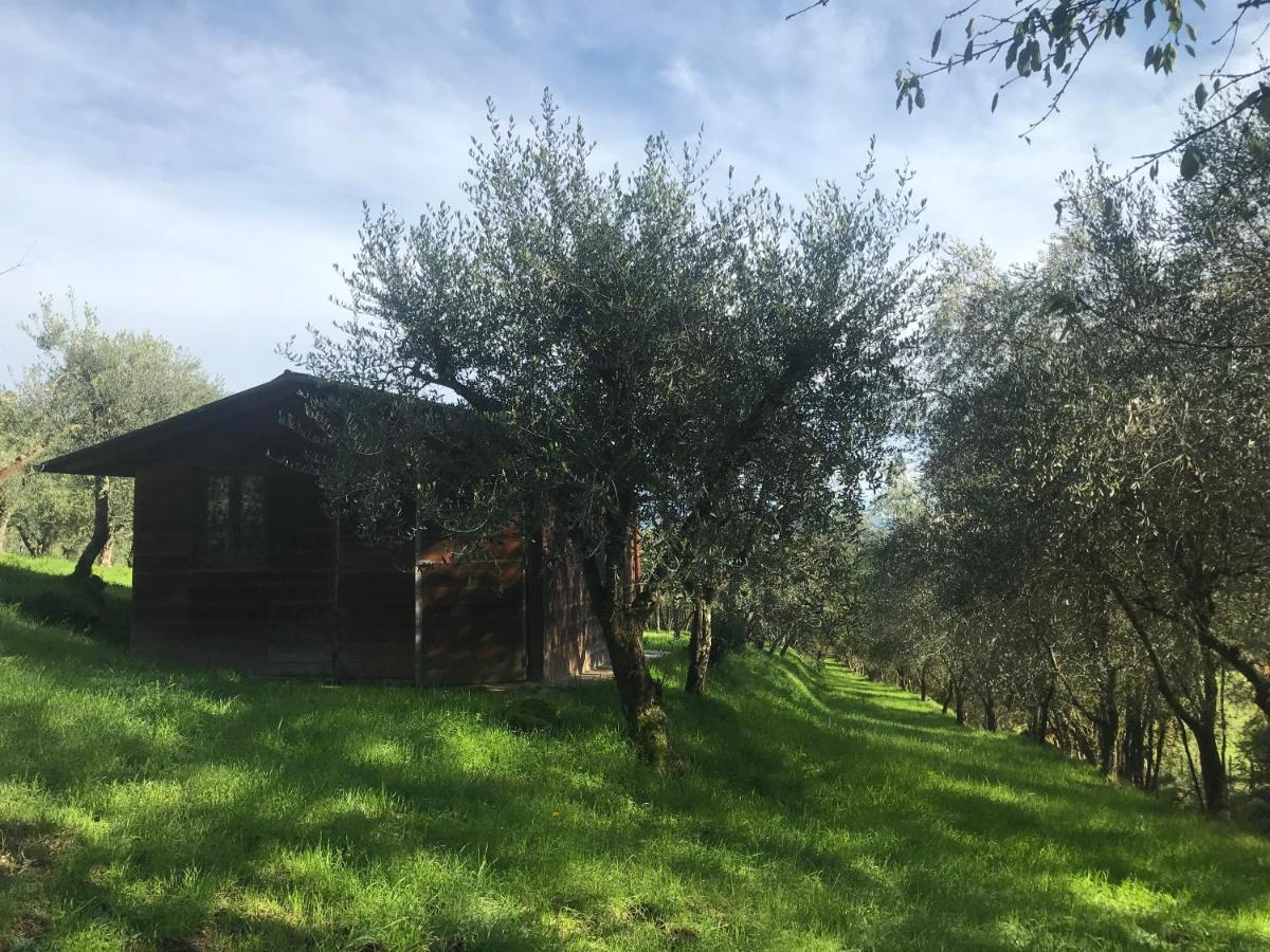 Agriturismo Podere I' Caldino Troghi Exterior photo